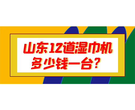 山東12道濕巾機多少錢一臺？
