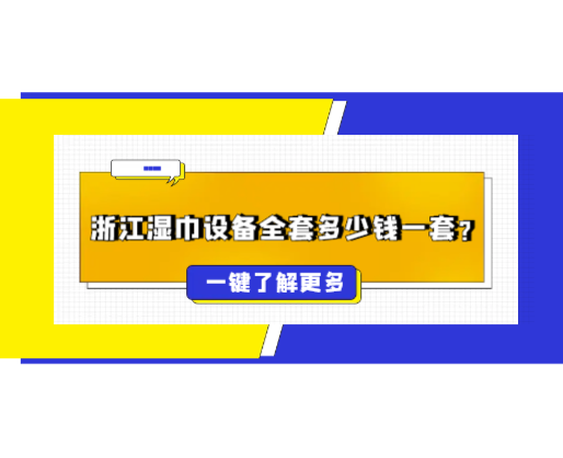浙江濕巾設(shè)備全套多少錢一套