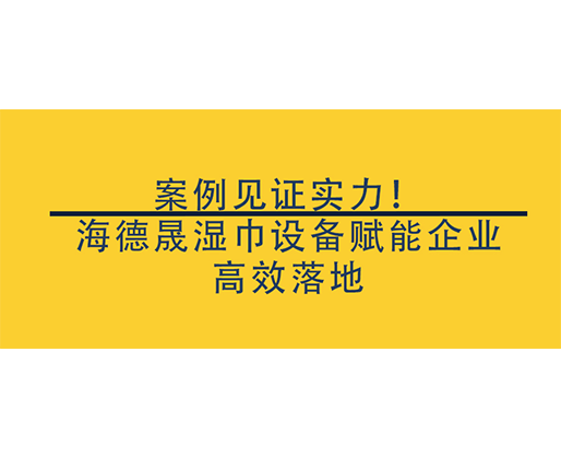 案例見證實(shí)力！海德晟濕巾設(shè)備賦能企業(yè)高效落地，搶占行業(yè)先機(jī)